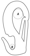 Wichard tek el yelken shackleı 55 9 8 240